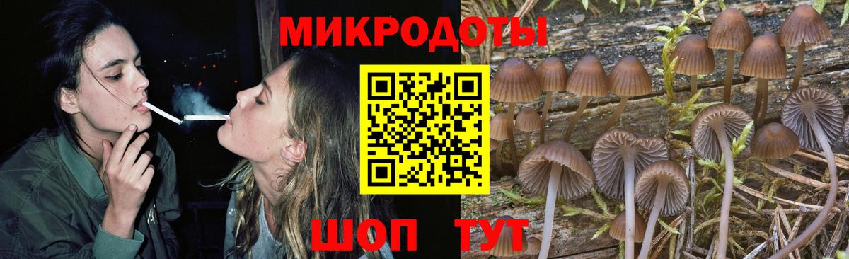 Псилоцибиновые грибы MAGIC MUSHROOMS Солнечногорск
